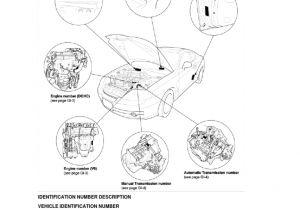 2004 Hyundai Tiburon Wiring Diagram Tiburon 2003 Electrical Connector Airbag