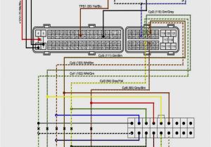 2004 Lexus Es330 Radio Wiring Diagram Auto Wire Diagram Book Wiring Diagram Centre 2004 Lexus Es330 Radio Wiring Diagram Auto Wire Diagram Book Wiring Diagram Centre