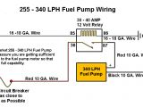 2004 Mustang Fuel Pump Wiring Diagram Useful Mustang Information Read This First Mustang Evolution 2004 Mustang Fuel Pump Wiring Diagram Useful Mustang Information Read This First Mustang Evolution
