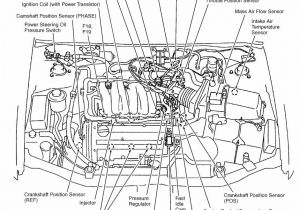 2004 Nissan Maxima Wiring Diagram Hose Diagram Furthermore 2004 Nissan Maxima Fuel Pump Relay Location