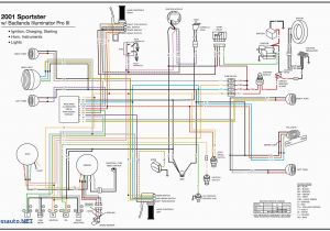 2005 Bmw X5 Wiring Diagram Lighting Further 2004 Bmw X5 Belt Diagram On E39 Tail Light Wiring