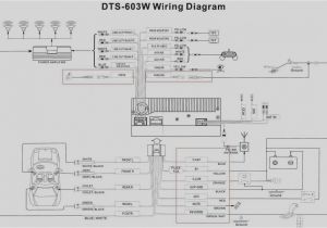 2005 Chevy Trailblazer Stereo Wiring Diagram Chevrolet Trailblazer Wiring Diagram Wiring Diagram Technic 2005 Chevy Trailblazer Stereo Wiring Diagram Chevrolet Trailblazer Wiring Diagram Wiring Diagram Technic