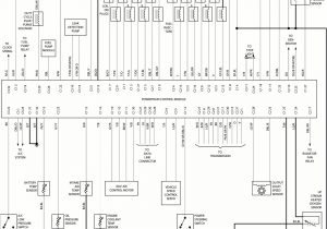 2005 Dodge Ram 1500 Pcm Wiring Diagram Trailer Wiring Diagram for 2005 Dodge Ram 2005 Dodge Ram 1500 Pcm Wiring Diagram Trailer Wiring Diagram for 2005 Dodge Ram