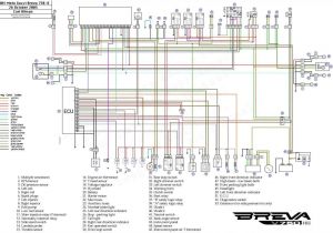 2005 Dodge Ram Headlight Wiring Diagram Dodge Ram Wiring Diagram Free Wiring Diagram Basic 2005 Dodge Ram Headlight Wiring Diagram Dodge Ram Wiring Diagram Free Wiring Diagram Basic
