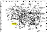 2005 ford Escape Tail Light Wiring Diagram Im Wiring A Reverse Camera Into My 2005 ford Escape