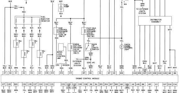 2005 Honda Civic Ac Compressor Wiring Diagram 87 Honda Civic Engine Diagram Blog Wiring Diagram