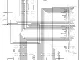 2005 Honda Odyssey Radio Wiring Diagram 2009 Pilot Wiring Diagram Wiring Diagram Structure