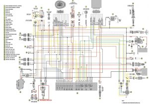 2005 Polaris Sportsman 500 Wiring Diagram 2008 Polaris Ranger Wiring Diagram Wiring Diagram Expert 2005 Polaris Sportsman 500 Wiring Diagram 2008 Polaris Ranger Wiring Diagram Wiring Diagram Expert