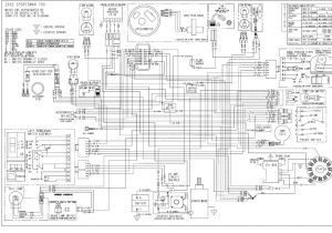 2005 Polaris Sportsman 500 Wiring Diagram Predator 500 Wiring Diagram Wiring Diagram Technic