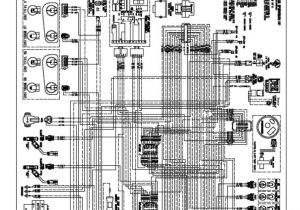 2005 Polaris Sportsman 700 Wiring Diagram 2008 Polaris Sportsman 800 Twin Wiring Diagram Pro Wiring 2005 Polaris Sportsman 700 Wiring Diagram 2008 Polaris Sportsman 800 Twin Wiring Diagram Pro Wiring
