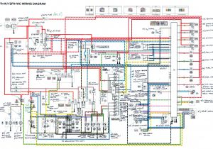 2005 Yamaha R1 Wiring Diagram R1 Wiring Diagram Wiring Diagram Expert