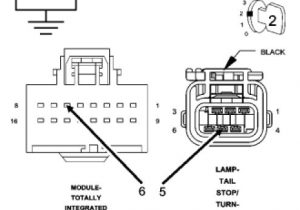 2006 Dodge Ram Tail Light Wiring Diagram 2006 Dodge Ram Tail Light Wiring Diagram Database