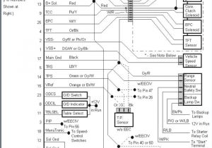 2006 F150 Wiring Diagram ford Radio Wiring Wiring Diagram Function
