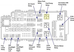 2006 ford Expedition Wiring Diagram Free ford Fuse Box Diagram Wiring Diagram Files