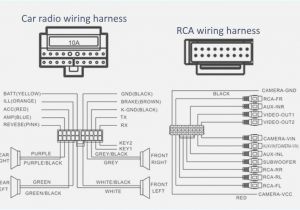 2006 ford F150 Radio Wiring Harness Diagram Pioneer Avh 1600 Wiring Diagram Blog Wiring Diagram