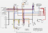 2006 Harley Davidson Ultra Classic Wiring Diagram 2006 Harley Sportster Wiring Diagram Wiring Diagram