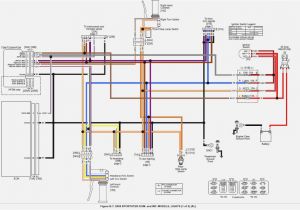 2006 Harley Davidson Ultra Classic Wiring Diagram 2006 Harley Sportster Wiring Diagram Wiring Diagram