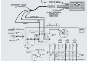 2006 Honda Civic Radio Wiring Diagram 8 1995 Honda Accord Ex Stereo Wiring Diagram View Racing4mnd org 2006 Honda Civic Radio Wiring Diagram 8 1995 Honda Accord Ex Stereo Wiring Diagram View Racing4mnd org