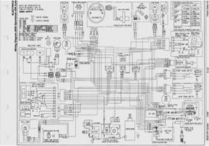 2006 Polaris Sportsman 500 Efi Wiring Diagram 2006 Polaris Sportsman 500 Efi Wiring Diagram Wiring Diagrams 2006 Polaris Sportsman 500 Efi Wiring Diagram 2006 Polaris Sportsman 500 Efi Wiring Diagram Wiring Diagrams