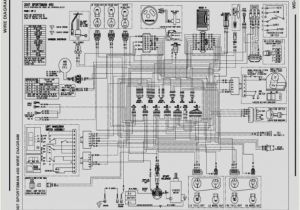 2006 Polaris Sportsman 500 Efi Wiring Diagram 2006 Polaris Sportsman 500 Efi Wiring Diagram Wiring Diagrams 2006 Polaris Sportsman 500 Efi Wiring Diagram 2006 Polaris Sportsman 500 Efi Wiring Diagram Wiring Diagrams