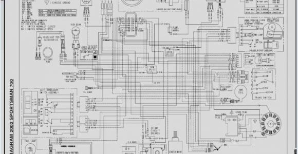 2006 Polaris Sportsman 500 Efi Wiring Diagram 2006 Polaris Sportsman 500 Efi Wiring Diagram Wiring Diagrams