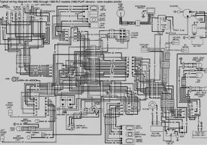 2006 Sportster Wiring Diagram 2006 Harley Wiring Diagram Wiring Diagram Operations