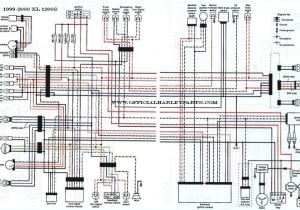 2006 Sportster Wiring Diagram 94 Harley softail Wiring Diagram Wiring Diagram Sample