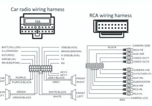2006 Suzuki Grand Vitara Radio Wiring Diagram Raptor Car Stereo Wiring Diagram Premium Wiring Diagram Blog 2006 Suzuki Grand Vitara Radio Wiring Diagram Raptor Car Stereo Wiring Diagram Premium Wiring Diagram Blog