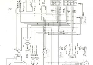 2006 Yamaha Grizzly 660 Wiring Diagram 35 Grizzly 660 Parts Diagram Wire Diagram source Information 2006 Yamaha Grizzly 660 Wiring Diagram 35 Grizzly 660 Parts Diagram Wire Diagram source Information