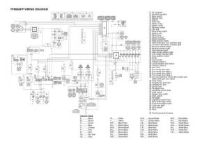 2006 Yamaha Grizzly 660 Wiring Diagram Wiring Diagram Yamaha Grizzly 660 Yfm660fp with Images