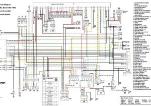 2006 Yamaha Raptor 350 Wiring Diagram 08 Triumph Wiring Diagrams Blog Wiring Diagram