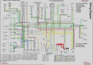 2006 Yamaha Raptor 350 Wiring Diagram 6a6 Easy Lifan 125 Wiring Diagram Wiring Library