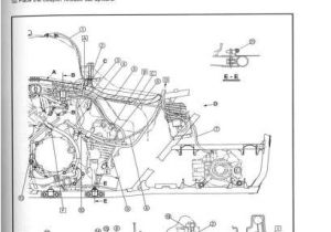 2006 Yamaha Rhino 660 Wiring Diagram En 3124 2006 Yamaha Rhino Wiring Diagram Wiring Diagram 2006 Yamaha Rhino 660 Wiring Diagram En 3124 2006 Yamaha Rhino Wiring Diagram Wiring Diagram