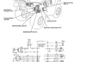 2007 Honda Rancher 420 Wiring Diagram 2001 Honda Rancher 350 Wiring Diagram Wiring Diagram