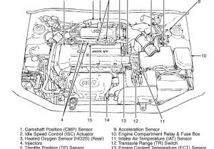 2007 Hyundai Accent Radio Wiring Diagram 1999 Hyundai Accent Engine Diagram Auto Electrical Wiring