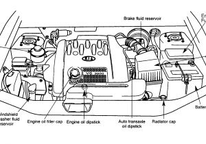 2007 Kia Spectra Wiring Diagram 2007 Kia Rio Engine Diagram Wiring Diagram Paper 2007 Kia Spectra Wiring Diagram 2007 Kia Rio Engine Diagram Wiring Diagram Paper