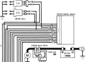2008 Cbr1000rr Wiring Diagram Honda 2000 1000 Wiring Diagram Wiring Diagram New