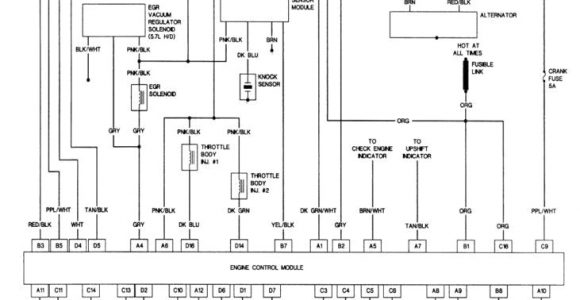 2008 Chevy Express Wiring Diagram 2008 Chevrolet Express Van Wiring Diagram Wiring Diagrams Page …