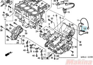 2008 Honda Cbr1000rr Wiring Diagram Diagram Honda Cbr1000rr 2008 Wiring Diagram Full Version 2008 Honda Cbr1000rr Wiring Diagram Diagram Honda Cbr1000rr 2008 Wiring Diagram Full Version