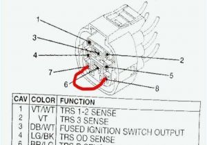 2011 Jeep Grand Cherokee Wiring Diagram 2004 Jeep Grand Cherokee Wiring Diagrams Wrangler Stereo Another