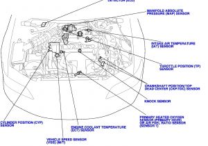 2012 Honda Pilot Wiring Diagram 2012 Honda Turn Signal Wiring Diagram Schema Diagram Database