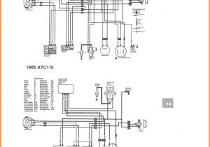 2012 Taotao 50cc Scooter Wiring Diagram Taotao Scooter Wiring Diagram Wiring Diagram Info 2012 Taotao 50cc Scooter Wiring Diagram Taotao Scooter Wiring Diagram Wiring Diagram Info