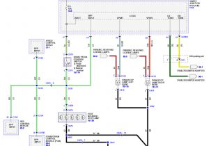 2013 ford Escape Wiring Diagram 2009 ford Escape Wiring Diagram Database Wiring Diagram 2013 ford Escape Wiring Diagram 2009 ford Escape Wiring Diagram Database Wiring Diagram