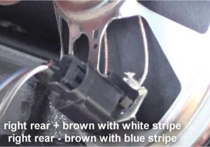 2013 ford Fusion Speaker Wire Diagram ford Speaker Wiring Wiring Diagram Mega 2013 ford Fusion Speaker Wire Diagram ford Speaker Wiring Wiring Diagram Mega