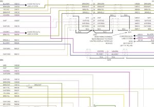 2016 ford Focus Wiring Diagram 77 New 2016 ford Focus Radio Wiring Diagram 2016 ford Focus Wiring Diagram 77 New 2016 ford Focus Radio Wiring Diagram