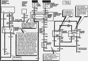 2080 Lc50 48qbb Wiring Diagram 2000 ford Focus Spark Plug Wire Diagram