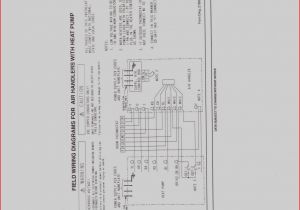 220 Volt Baseboard Heater thermostat Wiring Diagram Unique Wiring Diagram for 220 Volt Baseboard Heater 220 Volt Baseboard Heater thermostat Wiring Diagram Unique Wiring Diagram for 220 Volt Baseboard Heater