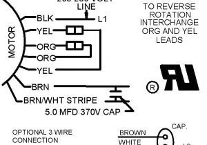 220v Electric Fan Wiring Diagram 3 Wire and 4 Wire Condensing Fan Motor Connection Hvac School