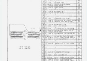 22r Alternator Wiring Diagram 22r Alternator Wiring Diagram Fresh Vehicle Alternator Wiring 22r Alternator Wiring Diagram 22r Alternator Wiring Diagram Fresh Vehicle Alternator Wiring