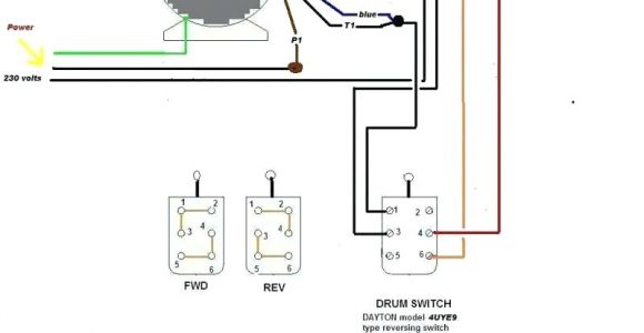 230 Volt Wiring Diagram Weg Motor Wiring Diagram Wiring Diagram
